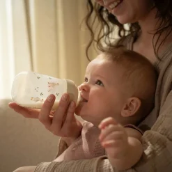 Babyfles 240 ml Little Goose