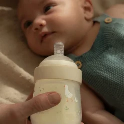 Babyfles 165 ml Little Goose