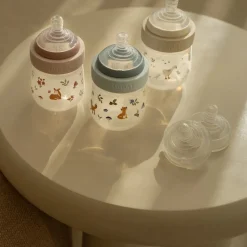 Babyfles 165 ml Little Goose