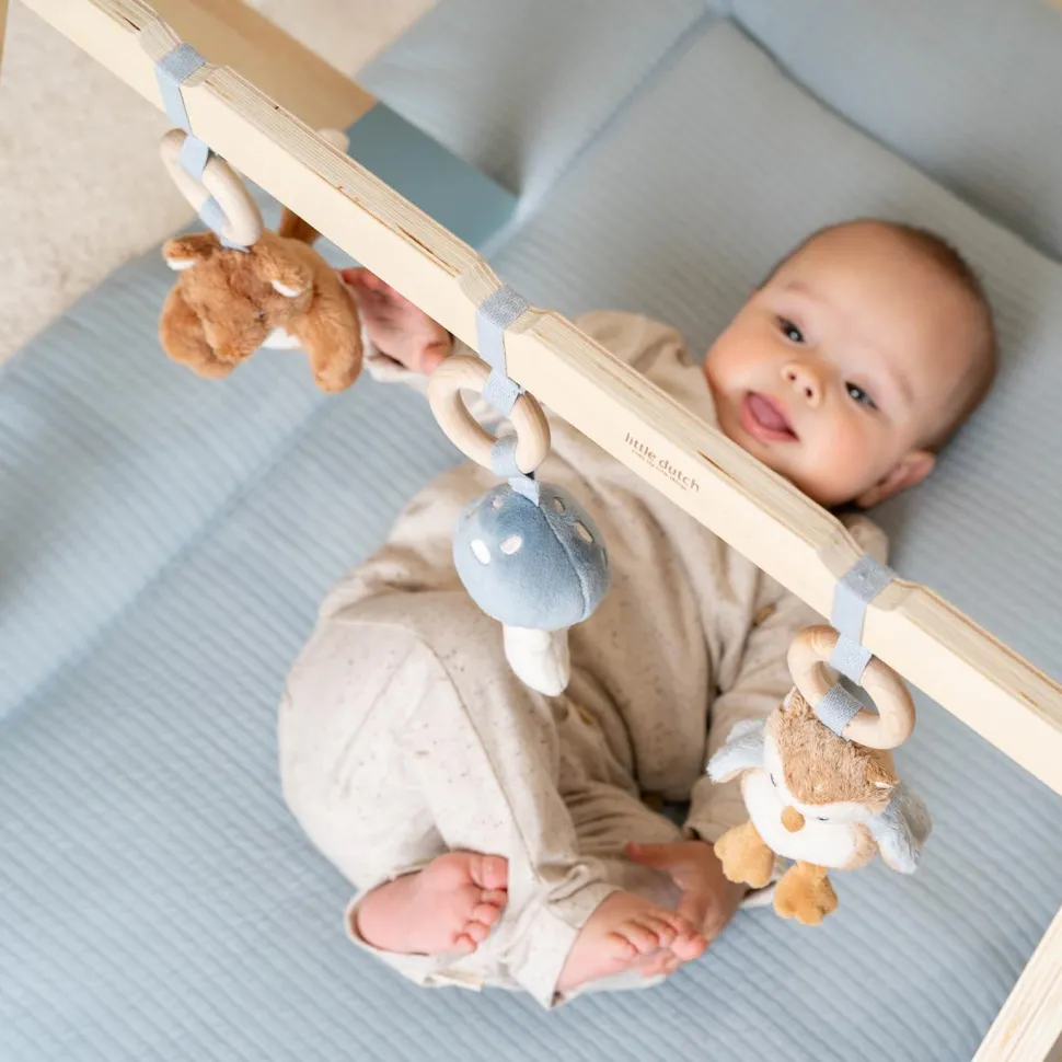 Babygym - Blauw - Forest Friends