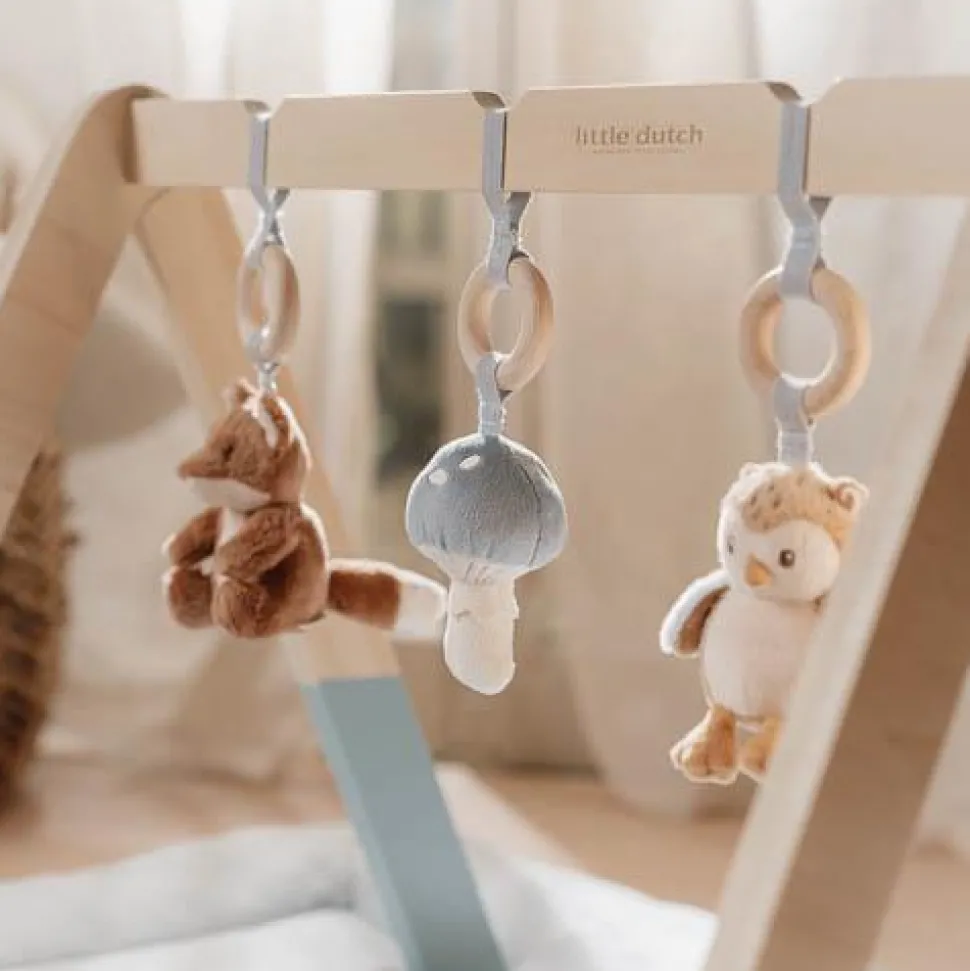 Babygym - Blauw - Forest Friends