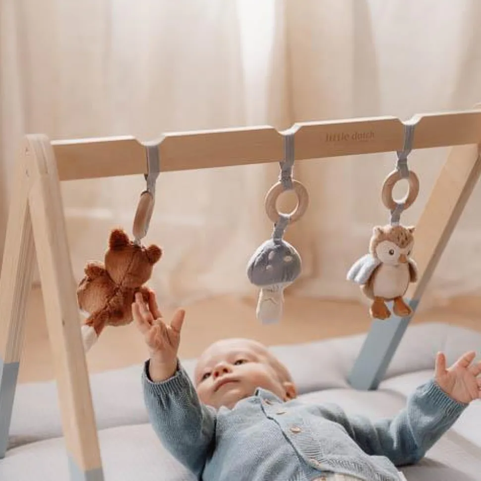 Babygym - Blauw - Forest Friends