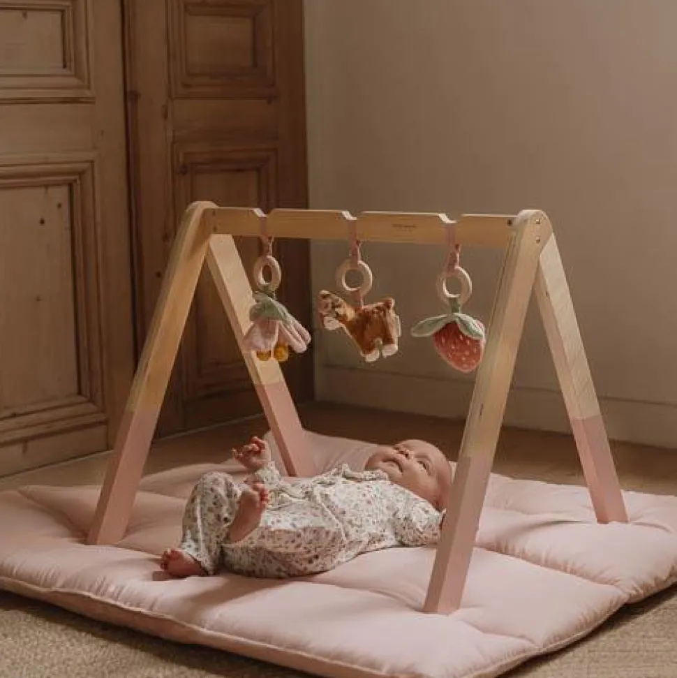 Babygym - Roze - Fairy Garden