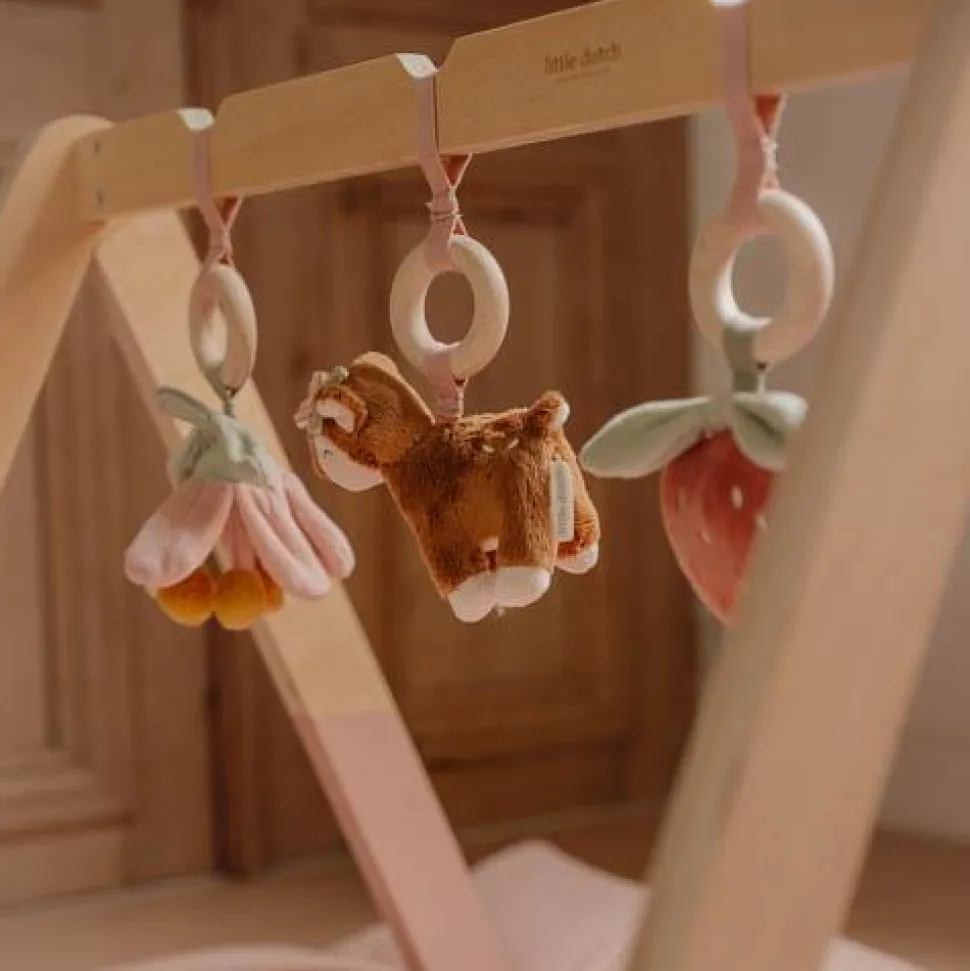 Babygym - Roze - Fairy Garden