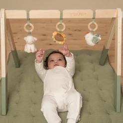 Babygym Little Farm
