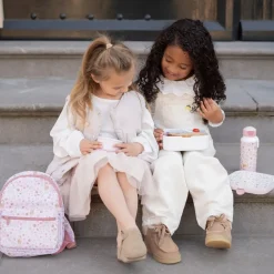 Bento Lunchbox groot Fairy Wonders