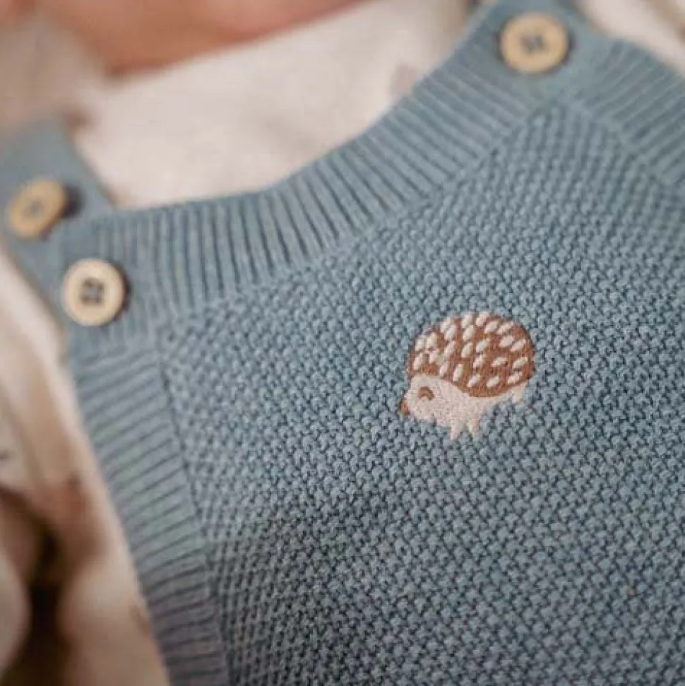 Boxpakje - Blauw - Forest Friends