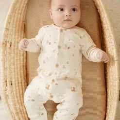 Boxpakje - Zand - Forest Friends