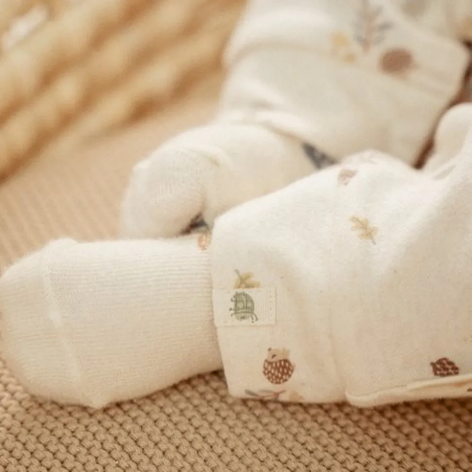 Boxpakje - Zand - Forest Friends