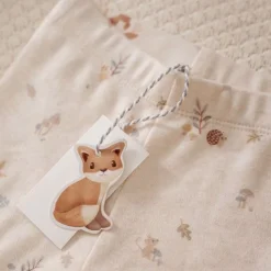 Broek - Zand - Forest Friends - Forest Nature