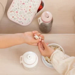 Drinkfles Pop-Up 400 ml Fairy Wonders