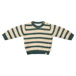 Gebreide trui - Groen - Forest Friends - Stripe