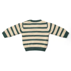 Gebreide trui - Groen - Forest Friends - Stripe