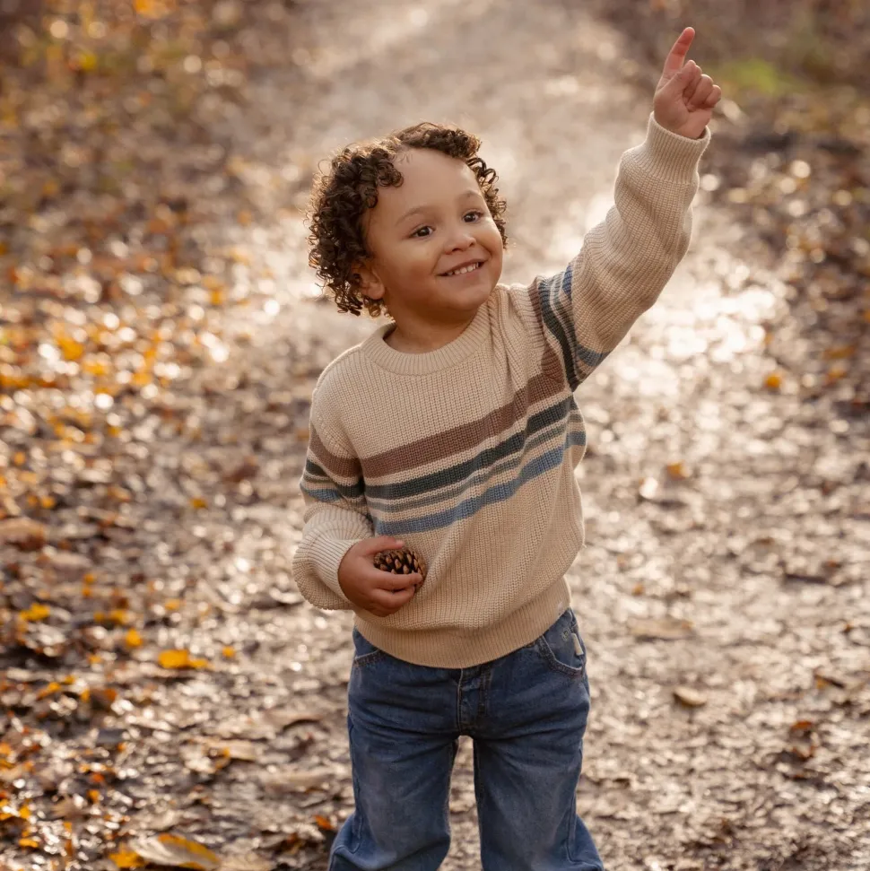 Gebreide trui - Zand - Forest Friends - Stripe
