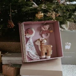 Giftset - Roze - Fairy Garden