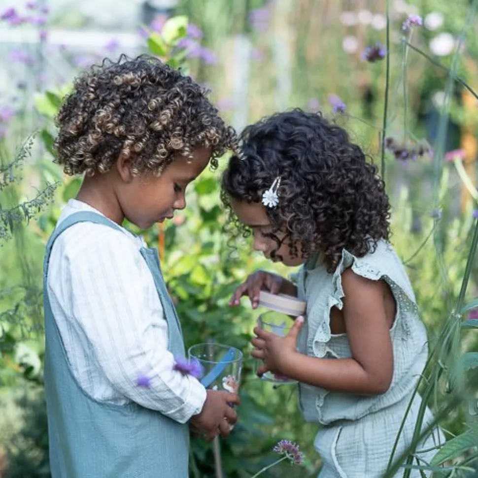 Insectenpotje - Roze - Fairy Garden