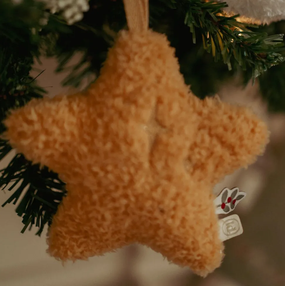 Kersthangers Jim Set – Meerkleurig – Christmas