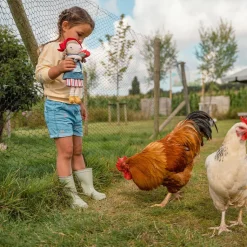 Knuffelpop Hollandse Rosa 35cm