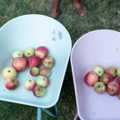 Kruiwagen - Blauw - Forest Friends