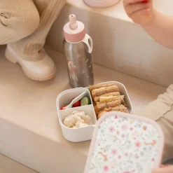 Lunchbox Fairy Wonders