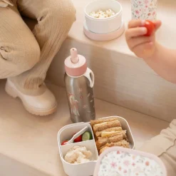 Lunchset Fairy Wonders