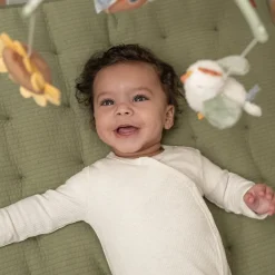 Muziekmobiel Little Farm