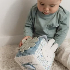 nijntje activiteitenkubus - Blauw - Lucky Leaves