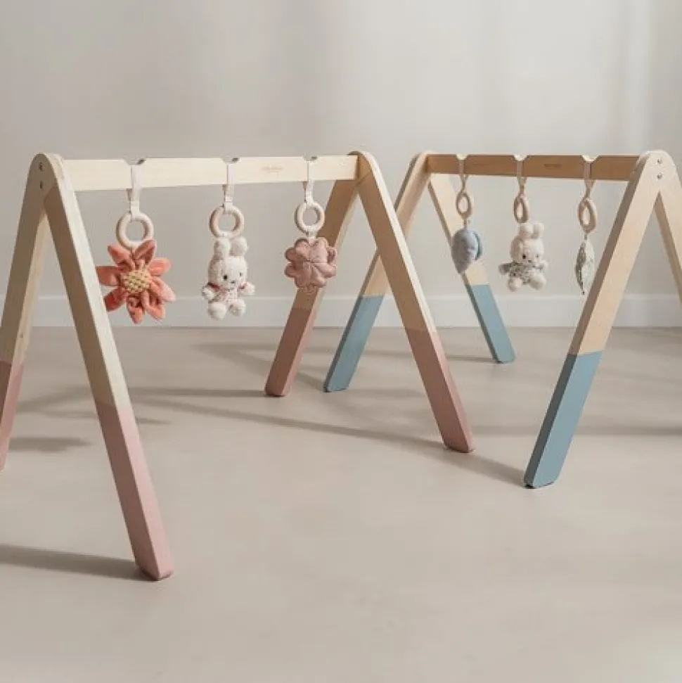 nijntje babygym - Blauw - Lucky Leaves