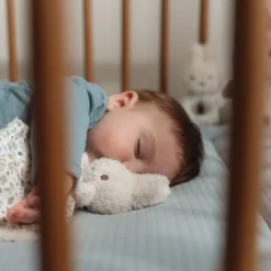 nijntje geschenkdoos - Blauw - Lucky Leaves