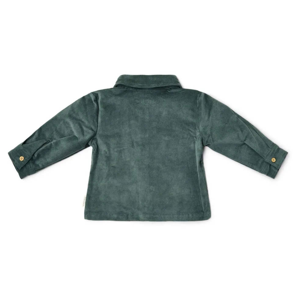 Overhemd - Groen - Forest Friends