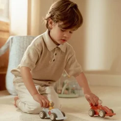 Pullback racewagens - Meerkleurig - Essentials