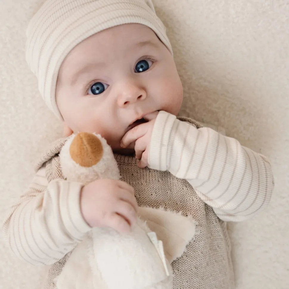 Shirt lange mouw - Beige - Newborn Naturals - Stripe