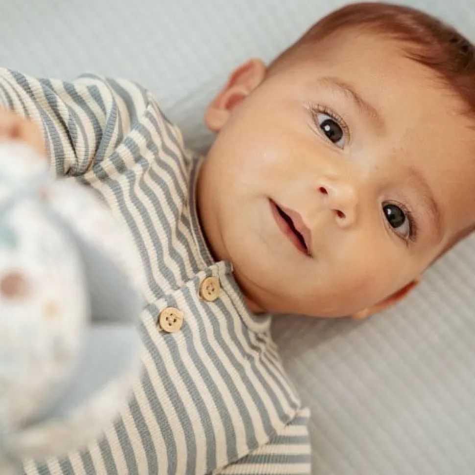 Shirt lange mouw - Blauw - Forest Friends - Stripe