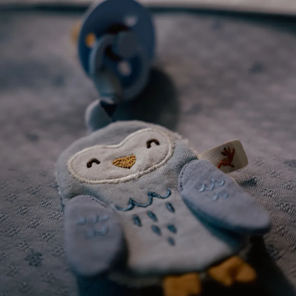 Speendoekje - Blauw - Forest Friends