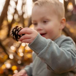 Sweater - Groen - Forest Friends