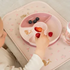 Vakjesbord Fairy Garden