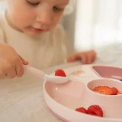 Vakjesbord Fairy Garden